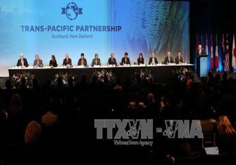 TPPの調印、重要な節目＝加盟国の閣僚 - ảnh 1