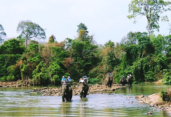  テトにあたり、8万人以上、ダクラク省を訪問 - ảnh 1