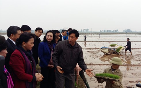 ガン国会副議長、ハノイ郊外フックトゥ県を訪れる - ảnh 1