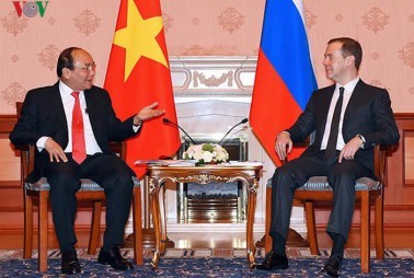 ベトナムとロシアとの伝統的友好と戦略的パートナー関係を強化 - ảnh 1