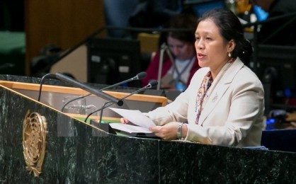  人間を経済発展、社会安全保障の中心にするベトナム - ảnh 1