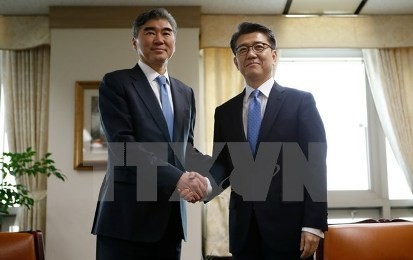 来月１日に日米韓首席会合　朝鮮核問題、東京で開催 - ảnh 1