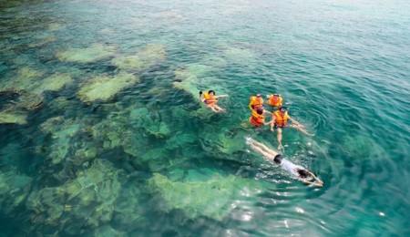 訪越外国人観光客　５ヶ月で　４００万人 - ảnh 1