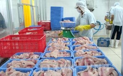 アメリカ向けの越ナマズ輸出が増加 - ảnh 1