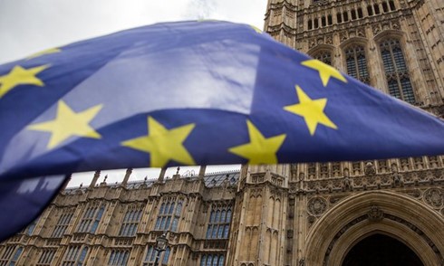 各国の指導者、イギリスのEU離脱に反応を示す - ảnh 1