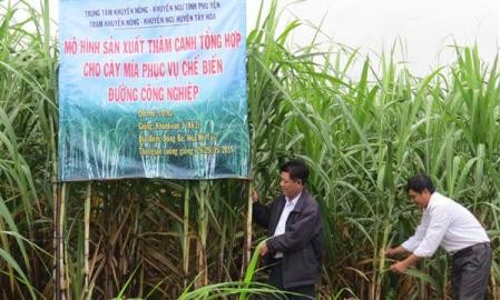 第１０回アジア太平洋協同組合担当大臣会議が２０１７年開催 - ảnh 1