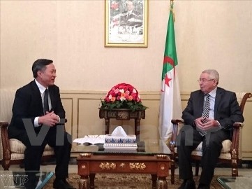 アルジェリア、ベトナムの成果を高く評価 - ảnh 1