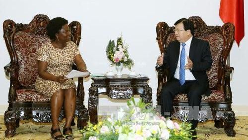 ズン副首相、WBの副総裁と会見 - ảnh 1