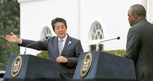 首相「官民連携しアフリカ発展に貢献」 - ảnh 1