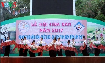  ディエンビエン省で「バンの花祭り」2017始まる - ảnh 1