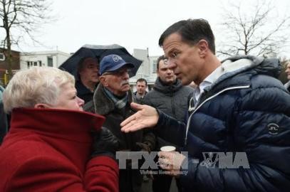 オランダ議会選 与党が第１党維持へ 極右党首敗北認める - ảnh 1