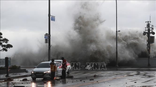 台風11号上陸の韓国で大きな被害　死者3人・行方不明9人　軍が出動し救助活動 - ảnh 1