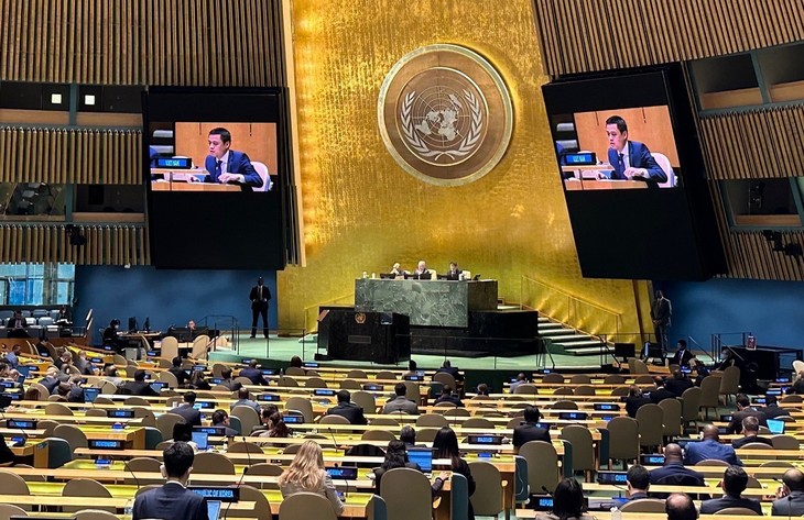 ベトナム、平和、人間開発にリソース活用の重要性を強調 - ảnh 1