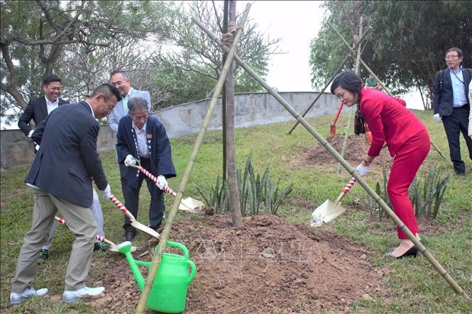 ハノイ市内のホアビン公園110本の桜の木を植樹 - ảnh 1