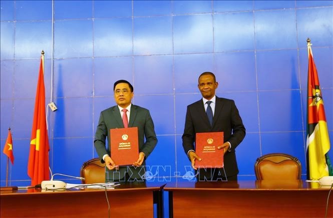 ベトナムとモザンビーク、多くの分野で協力を強化 - ảnh 1