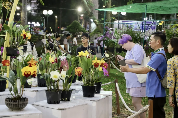 ホーチミン市での春の花祭り 開催 - ảnh 1