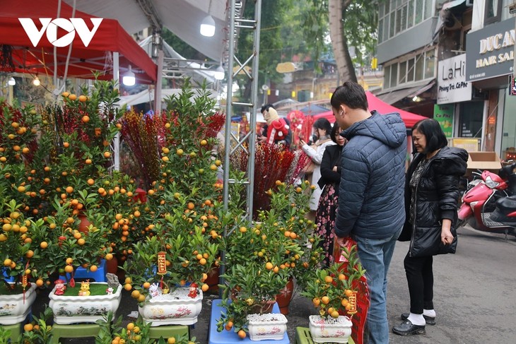 ハノイ市内のハンルオック通りの花市場 - ảnh 1