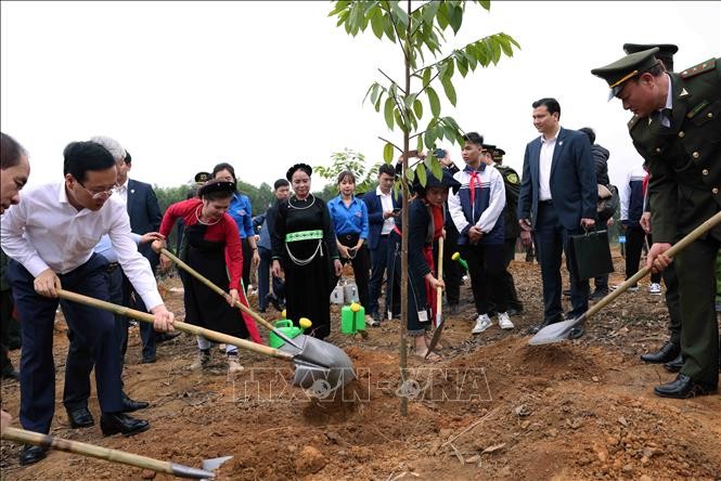 トゥオン国家主席、植樹祭りの開始式典に出席 - ảnh 1