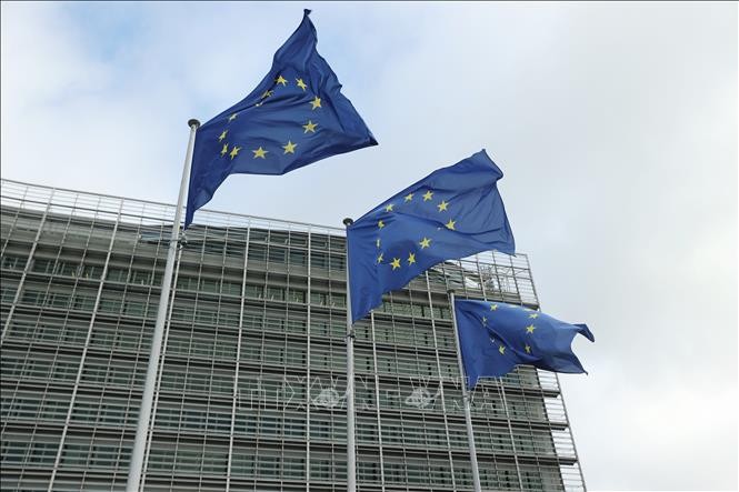 EU、ウクライナとの安保協定に署名 首脳会議 - ảnh 1