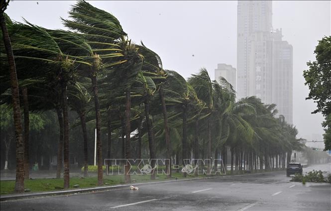 台風ヤギ、中国海南省に上陸 風速65メートル - ảnh 1