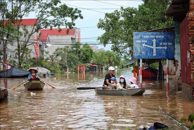 日本やIOMなど ベトナムの台風「ヤギ」による災害復旧に2百万ドルの緊急援助 - ảnh 1