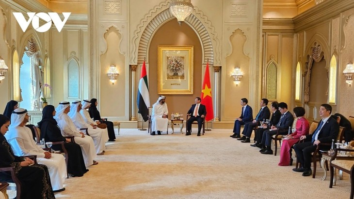 チン首相、UAE経済相および投資相と会見 - ảnh 1