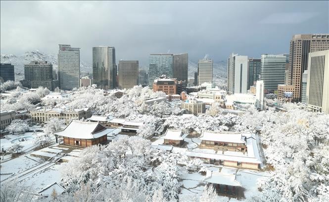 韓国で記録的大雪、5人死亡 首都圏で40センチ超積雪 - ảnh 1