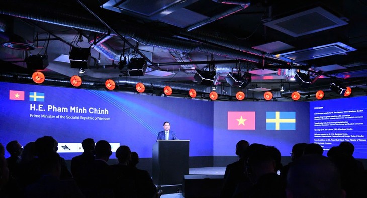 ベトナムとスウェーデンのビジネス界 両国協力で先頭に立つべき - ảnh 1