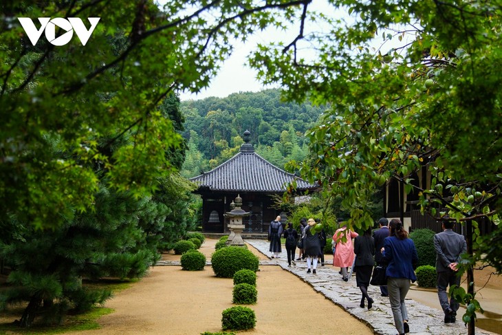 リスナーと共におしゃべりタイム （6月26日） - ảnh 1