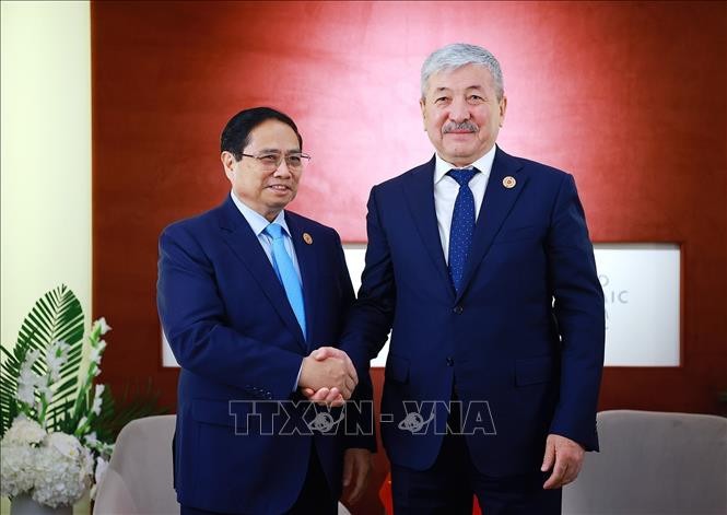 チン首相、各国の首脳らと会見 - ảnh 1