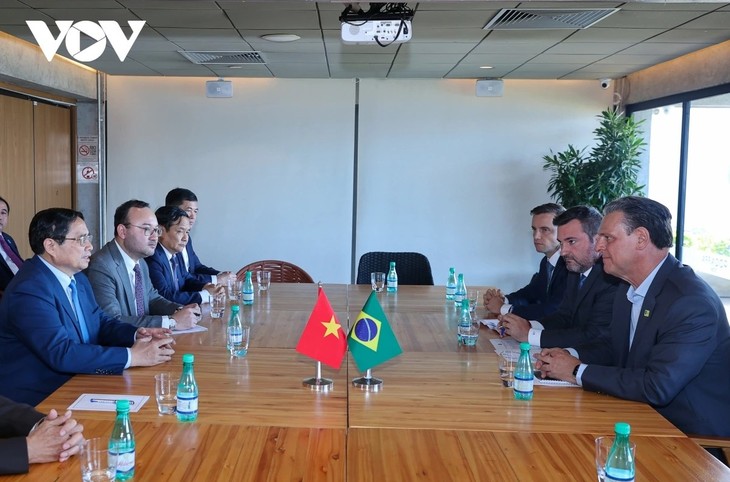 チン首相  ブラジル農業大臣と会見 牛肉の対ベトナム初輸出を祝う式典に出席 - ảnh 1