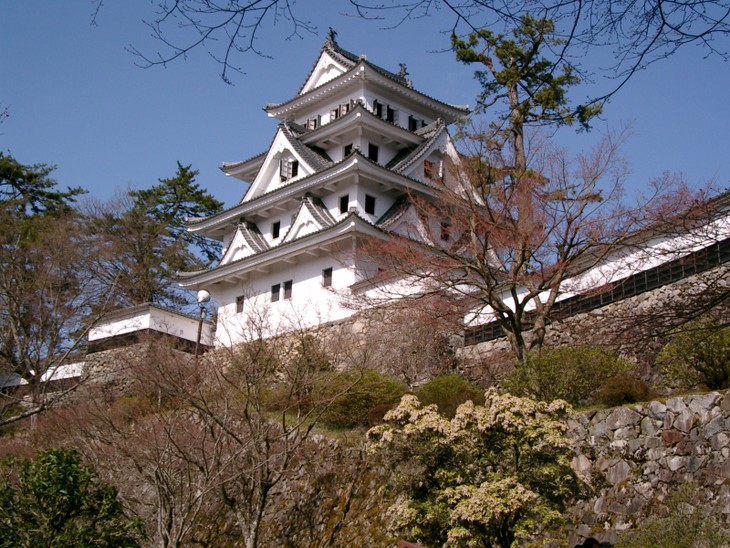 リスナーと共におしゃべりタイム （7月24日） - ảnh 2