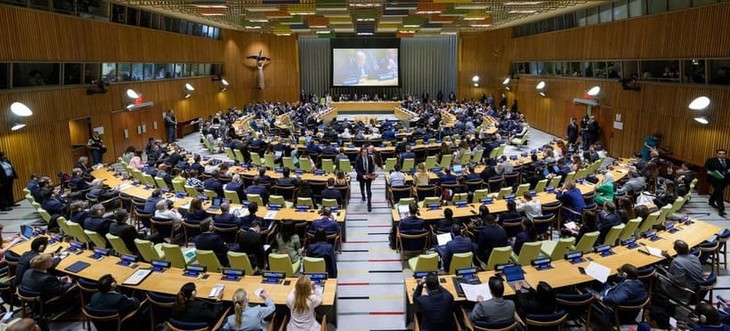 パレスチナ巡る国際会合、国連本部で開催 仏・サウジが共催 - ảnh 1