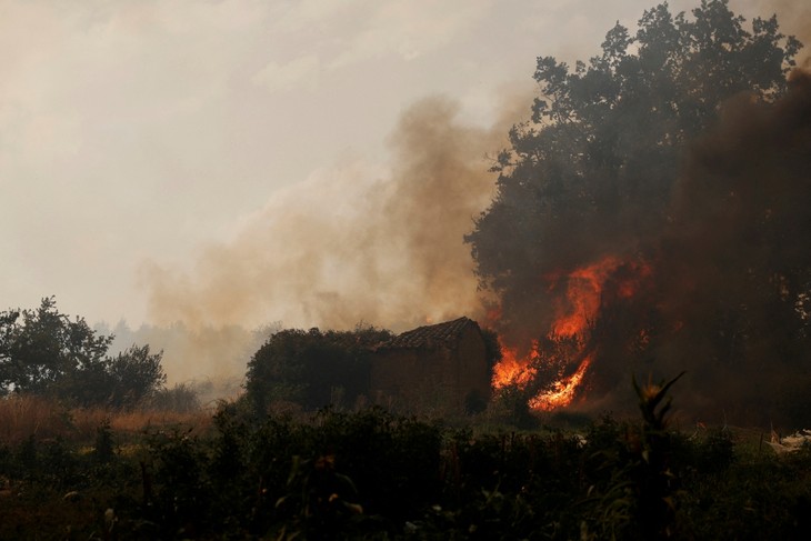 欧州で新たな熱波 一部で気温44度、森林火災で死者も - ảnh 1