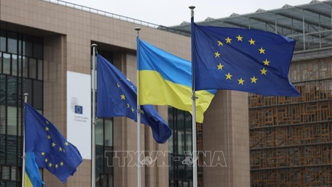 ウクライナの安全保障策巡り - ảnh 1