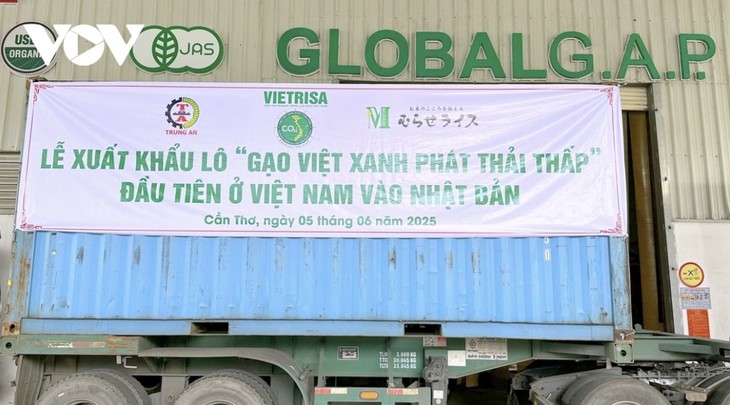 ベトナム米ブランド、韓国・日本市場での地位を確立 - ảnh 1