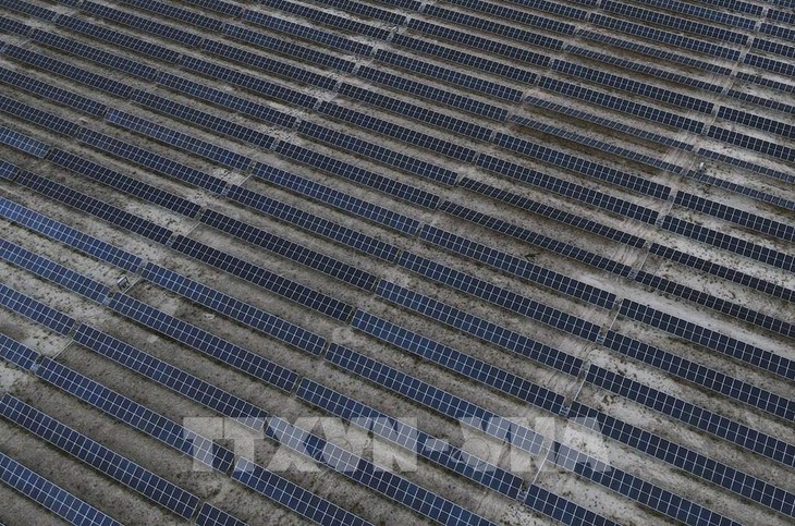 再生可能エネ予測を下方修正、米政策転換と中国入札改革で＝ＩＥＡ - ảnh 1