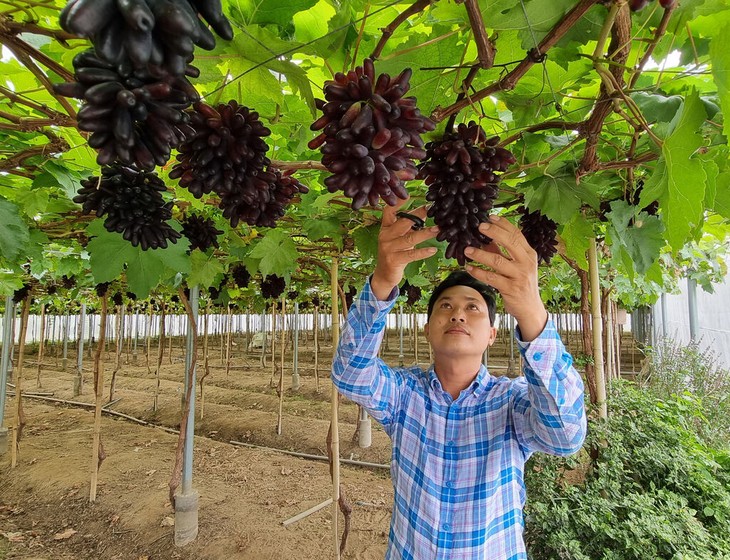 リスナーと共におしゃべりタイム （10月16日） - ảnh 2