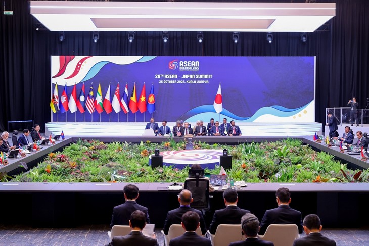 チン首相 ASEAN・日本首脳会議に出席 - ảnh 1