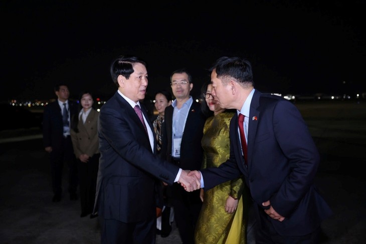 ルオン・クオン国家主席 APEC首脳会議出席 終える - ảnh 1