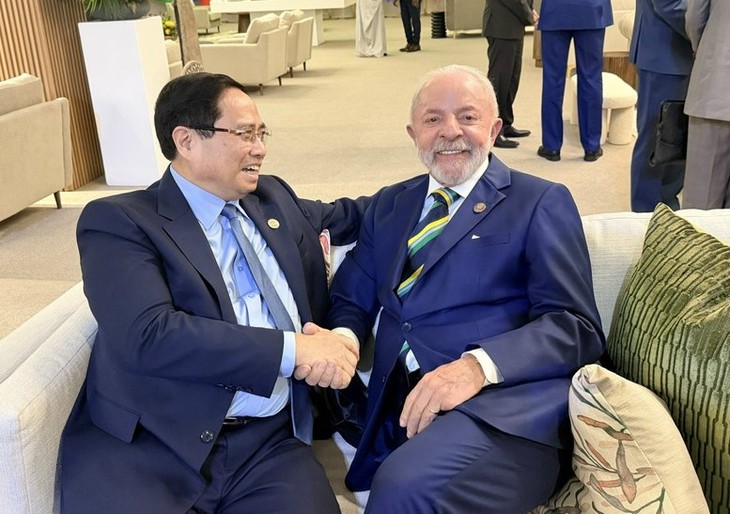 チン首相　各国首脳・国際機関トップと相次いで会見 - ảnh 4