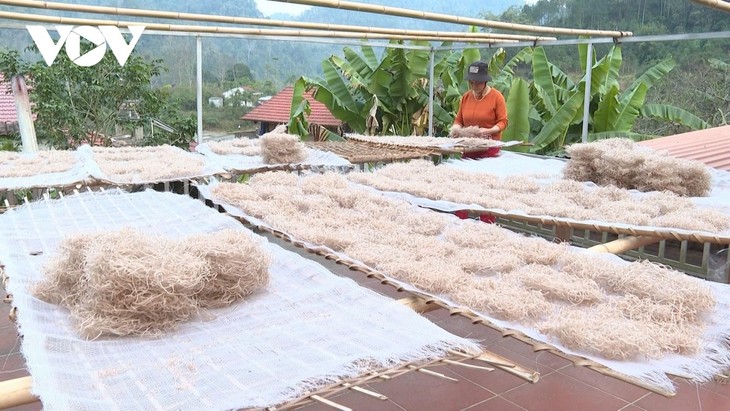 ヌン族在住の村、伝統的な「手作りカンナ春雨」の製法を守る - ảnh 3