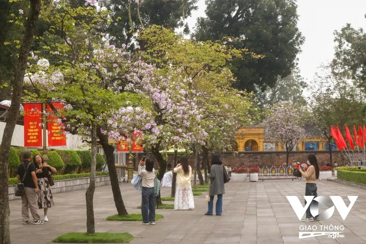 リスナーと共におしゃべりタイム （3月19日） - ảnh 1