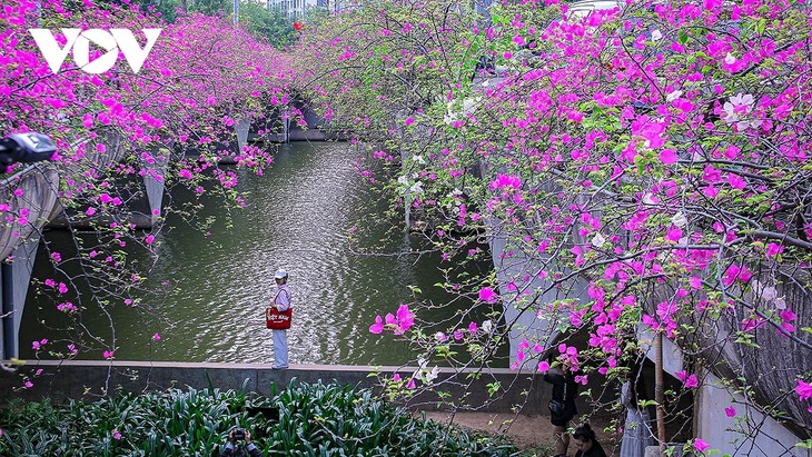 リスナーと共におしゃべりタイム （3月26日） - ảnh 3