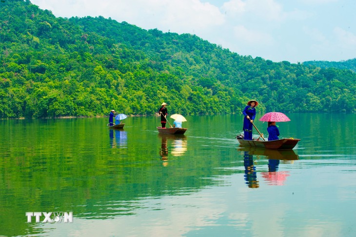 ベトナム、森林分野の排出削減事業で資金支援へ - ảnh 1