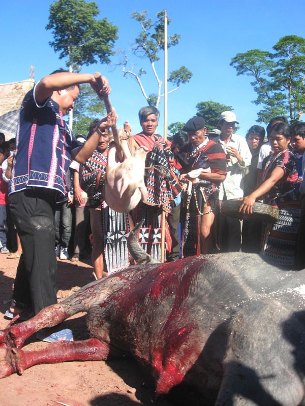 Kabupaten Tay Giang menggerakkan tenaga rakyat untuk membangun pedesaan baru - ảnh 2