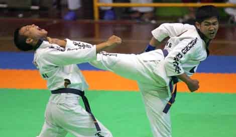 Regu silat tarung derajat Indonesia melakukan pertandingan di Vietnam. - ảnh 1