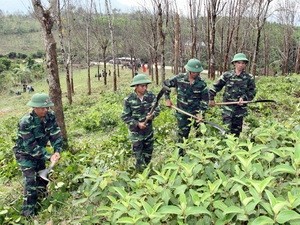 Pertukaran kesenian untuk turut mengatasi akibat bom dan ranjau pasca perang. - ảnh 1