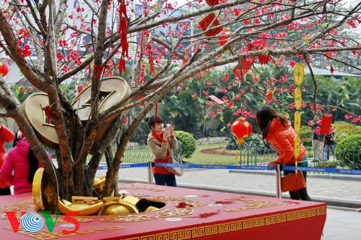 河内春节街景 - ảnh 7