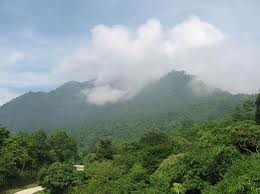 体验巴维县生态游 - ảnh 1